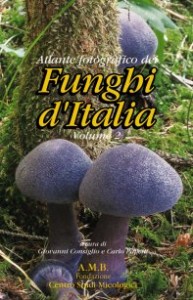CFunghi_Italia2.jpg