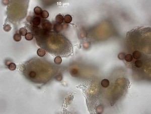 Crater-100xs-10.jpg