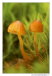 CRW_3889-1.jpg