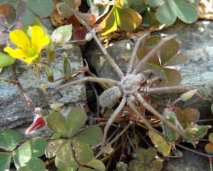 DSC00328.JPG