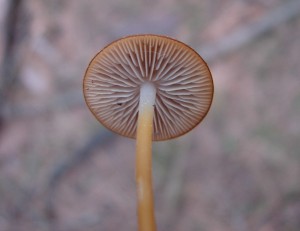 DSC00336.JPG