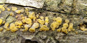 DSC00510.JPG