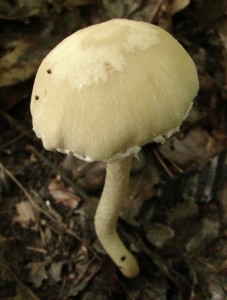 DSC00583.JPG