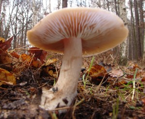 DSC01400.JPG