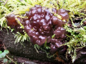 dsc01438_107.jpg