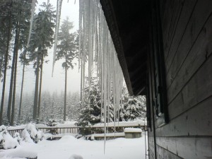 DSC01739a.JPG