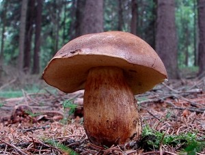 DSC02014.JPG