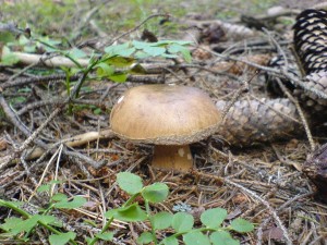 DSC02319.JPG