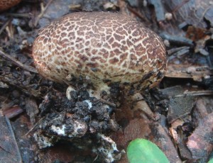 DSC02622.JPG