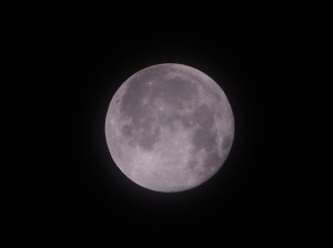 DSC02662.JPG