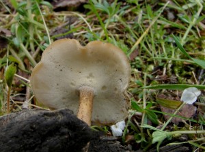 DSC03439.JPG