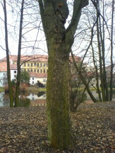DSC03544.JPG