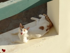DSC04326.JPG