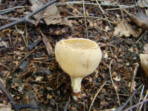 DSC05293.JPG