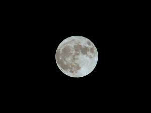 DSC05907.JPG