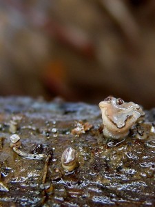 DSC07081 - kopie.JPG