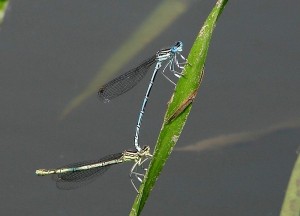 DSC07291.JPG