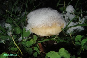 DSC07573L.jpg