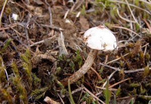 DSC08922.JPG