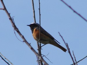 DSC09716.JPG