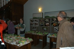 DSC_0043.JPG