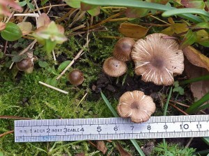 DSCF1318.jpg