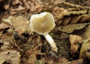 DSCF3581.JPG