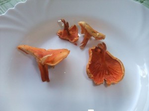 DSCF3971.JPG
