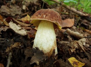 DSCF4768.JPG
