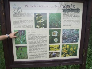 DSCF9573.JPG