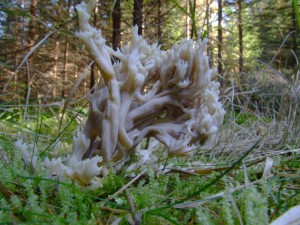 DSCF9739.jpg