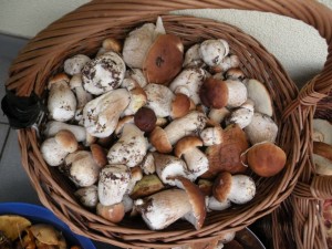 DSCN0082.JPG