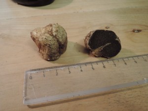 DSCN1343.JPG