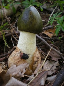 DSCN1525.JPG