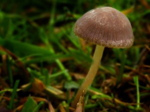 DSCN1806.jpg