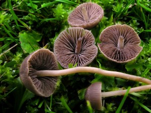 DSCN1818.jpg