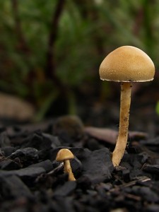 DSCN1830.jpg