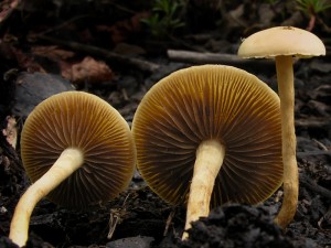 DSCN1839.jpg