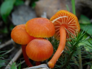 DSCN2189.JPG