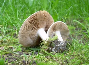 DSCN3242.JPG