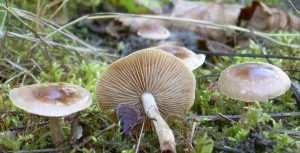 DSCN3298.JPG