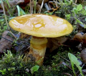 DSCN3302.JPG