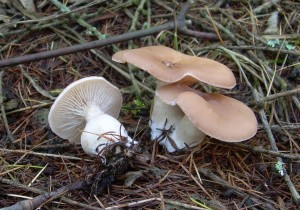 DSCN3312.JPG