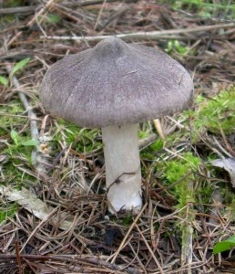 DSCN3322.JPG