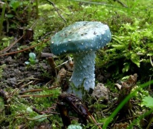 DSCN3334.JPG