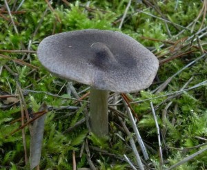 DSCN3385.JPG