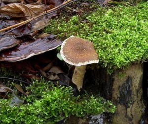 DSCN3455.JPG