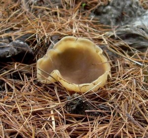 DSCN3551.JPG
