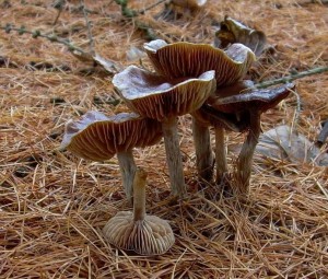 DSCN3556.JPG