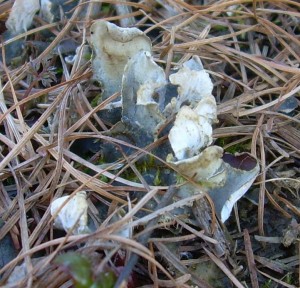 DSCN3592.JPG